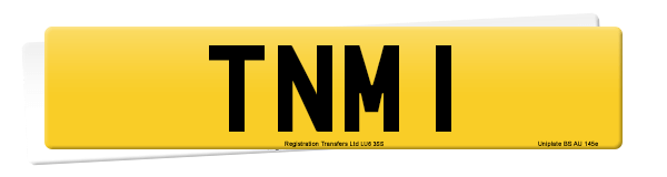 Registration number TNM 1